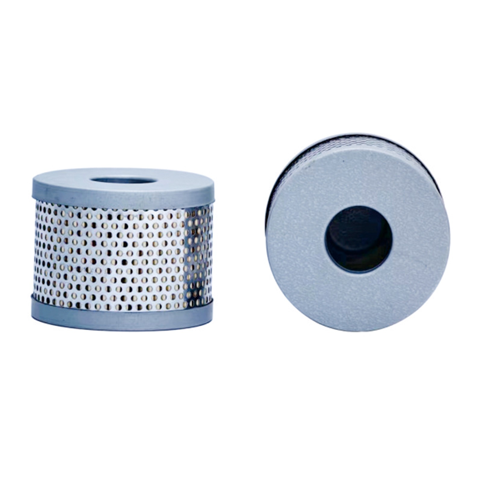 Wayne Fuel Filter Element Oil Filter Element