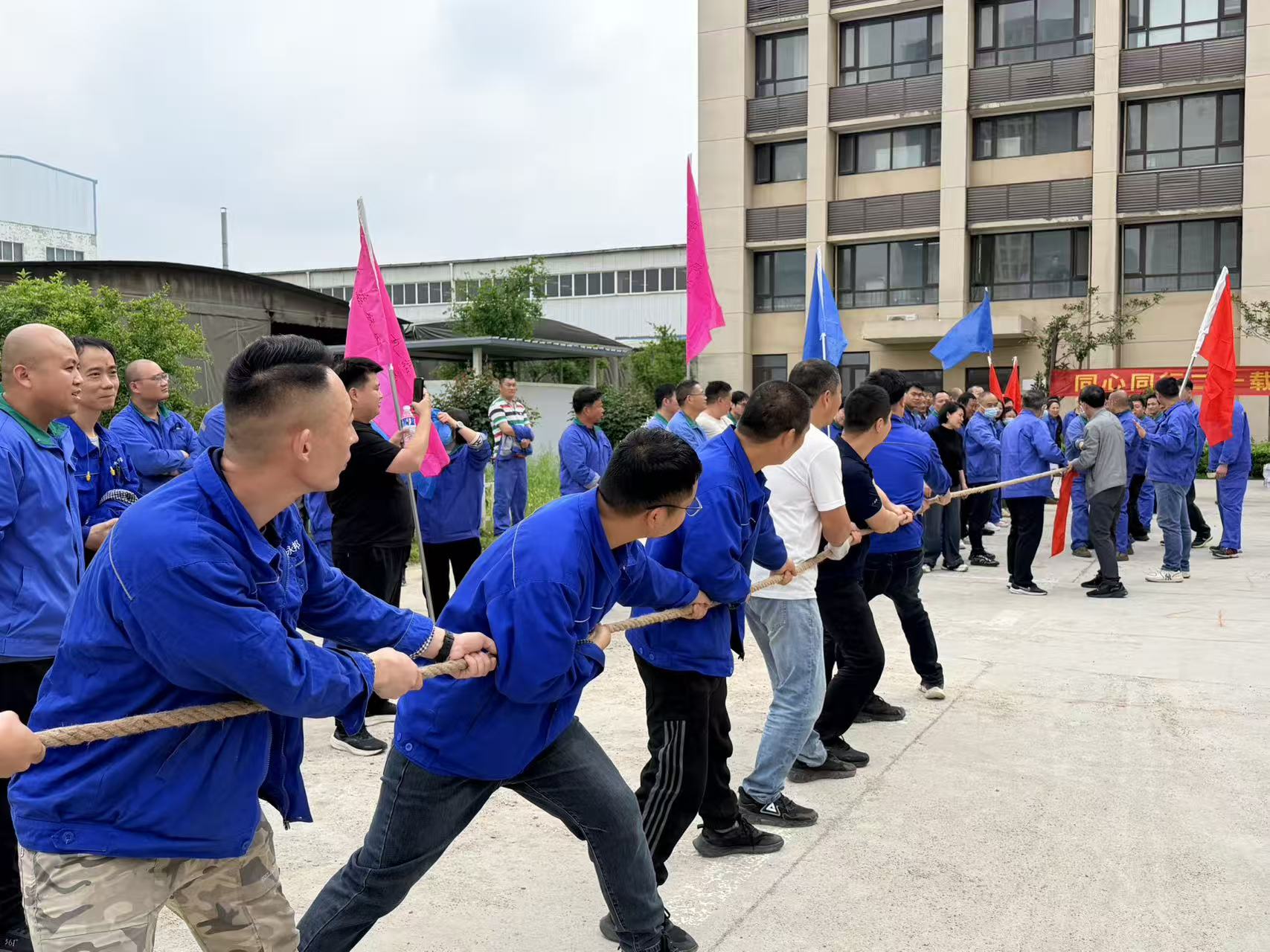 Sinoart enterprise content manager system | Sinoart CMS